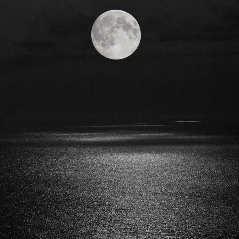 Meet your Posher, Selena